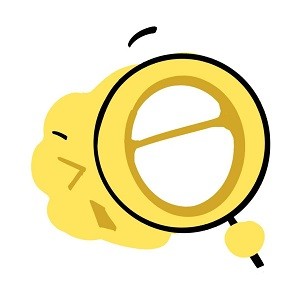 小鹰看看官方正版下载APP应用